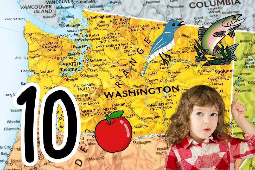 QUIZ: Can You Name All 10 of Washington State’s Famous Symbols